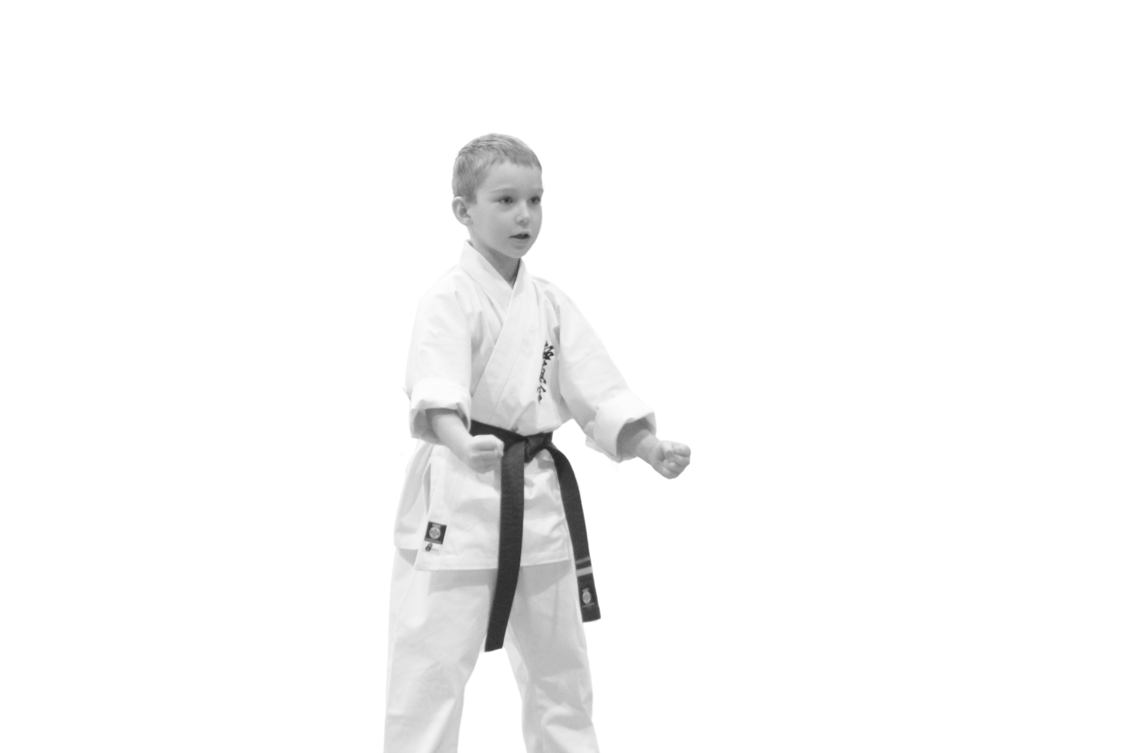 Egzamin Karate - Dojo Krzak